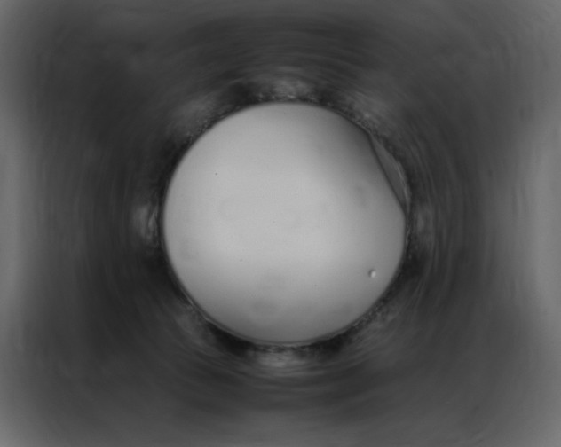 X0000086990177200705071444