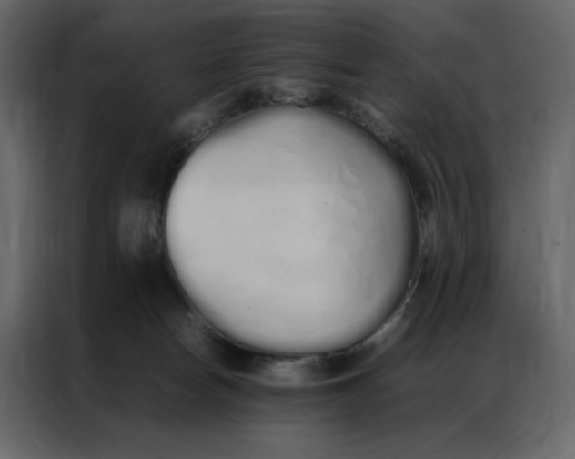 X0000086990178200705071444