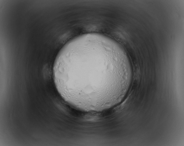 X0000086990179200705071444