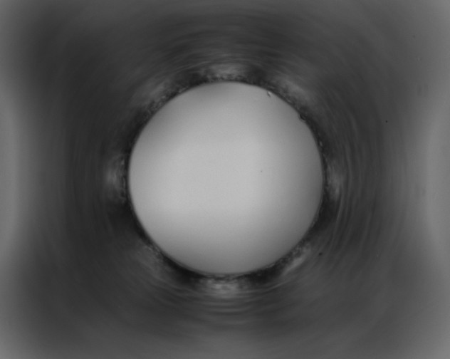 X0000086990181200705071444