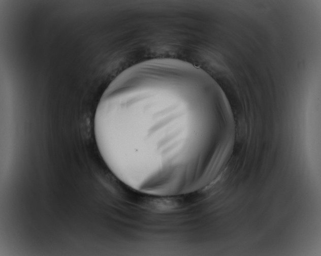 X0000086990183200705071444