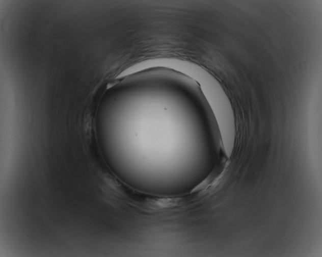 X0000086990184200705071444