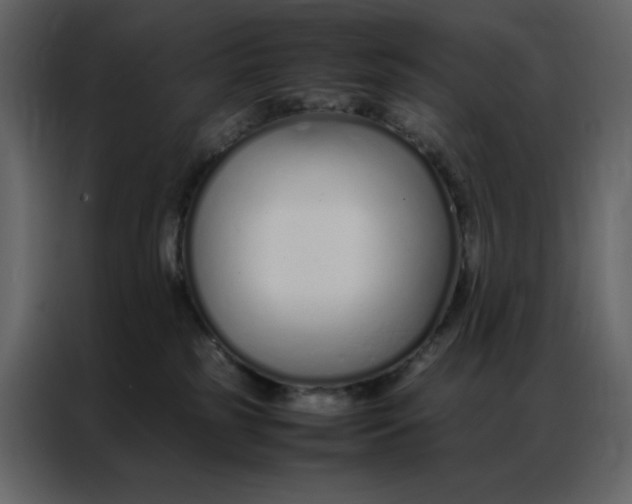 X0000086990185200705071444