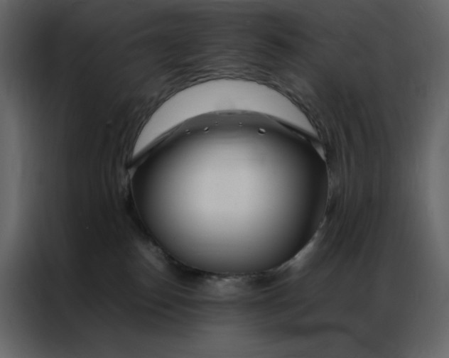 X0000086990186200705071444