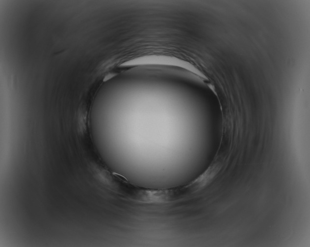 X0000086990188200705071444