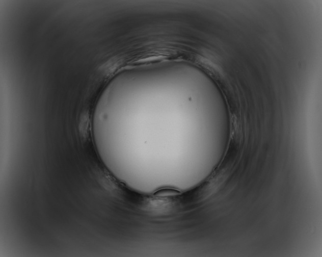 X0000086990189200705071444