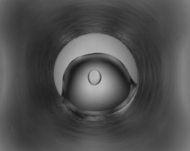 X0000086990190200705071444