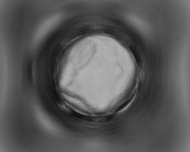 X0000086990191200705071444