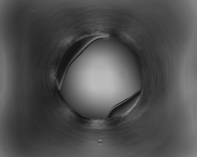 X0000086990192200705071444