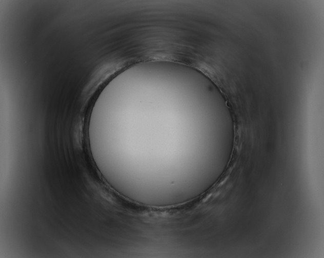 X0000086990194200705071443