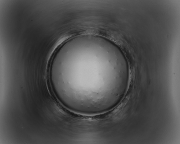 X0000086990195200705071443