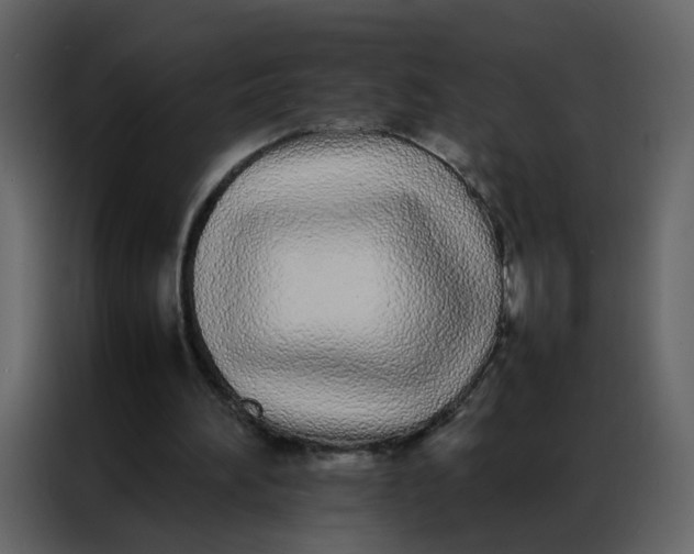 X0000086990196200705071443