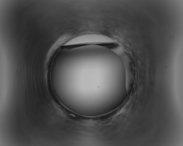 X0000086990197200705071443