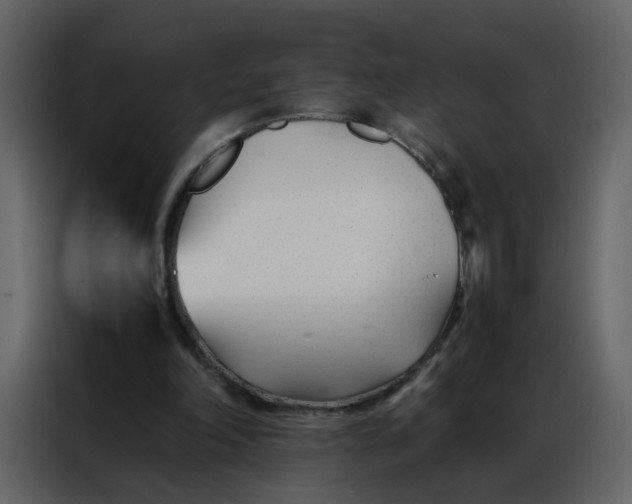 X0000086990198200705071443