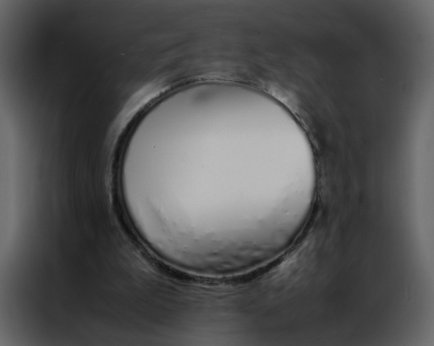 X0000086990199200705071443