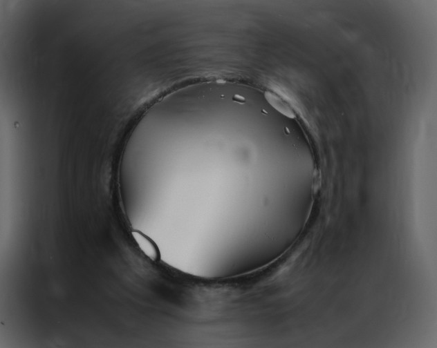 X0000086990201200705071443