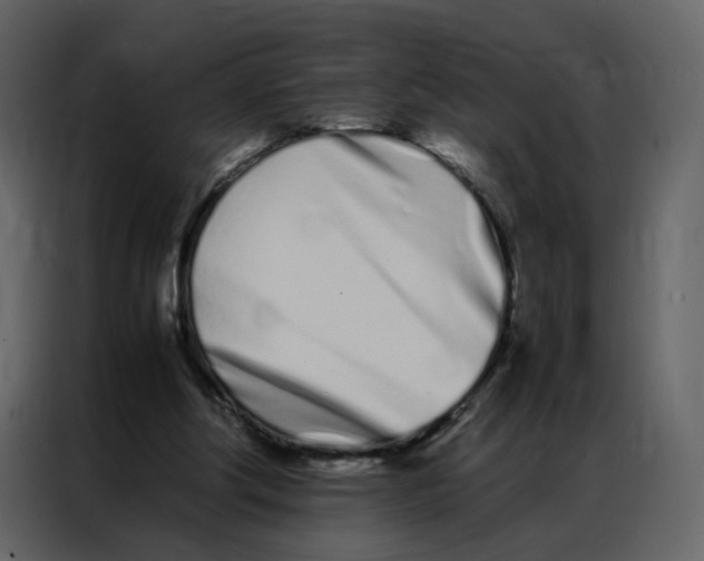 X0000086990202200705071443