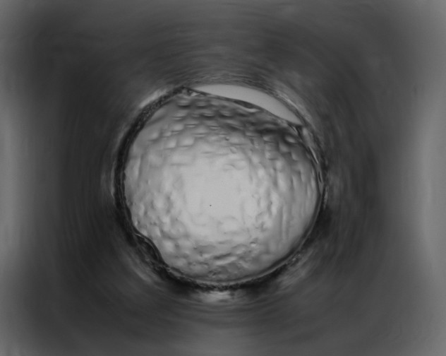 X0000086990203200705071443