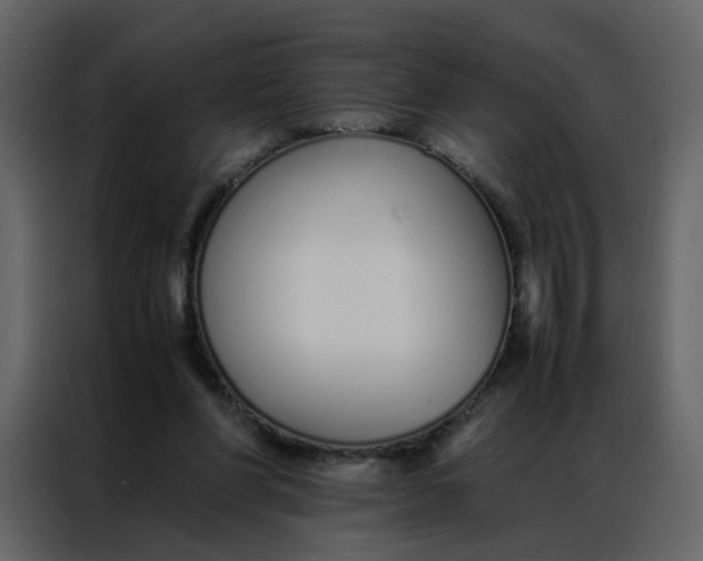 X0000086990206200705071443