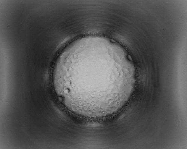 X0000086990208200705071443