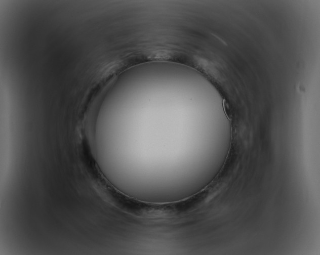 X0000086990209200705071443