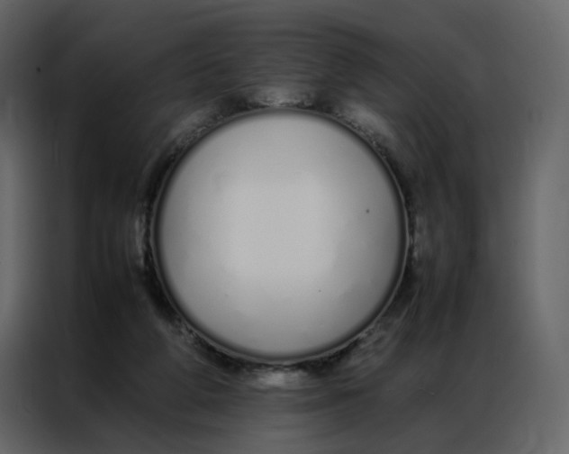 X0000086990210200705071443