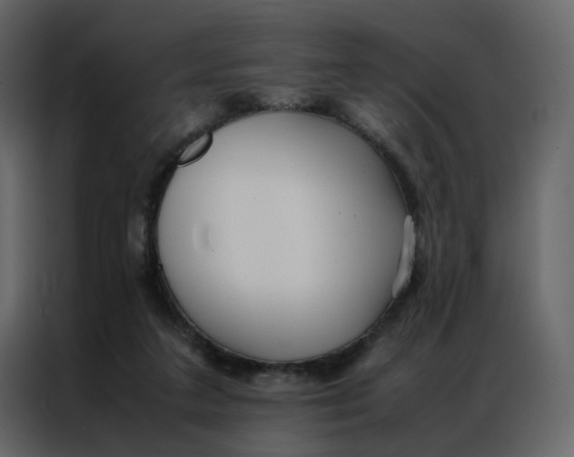 X0000086990211200705071443