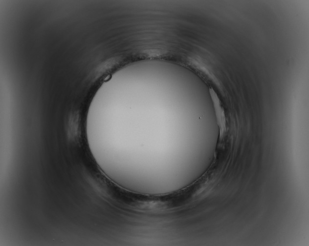 X0000086990212200705071443