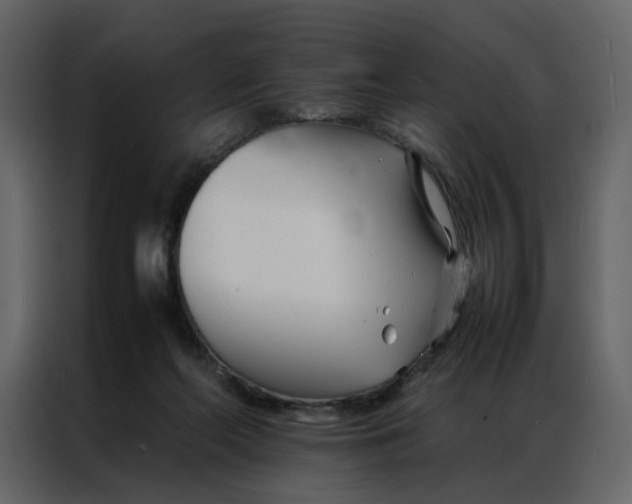 X0000086990214200705071443