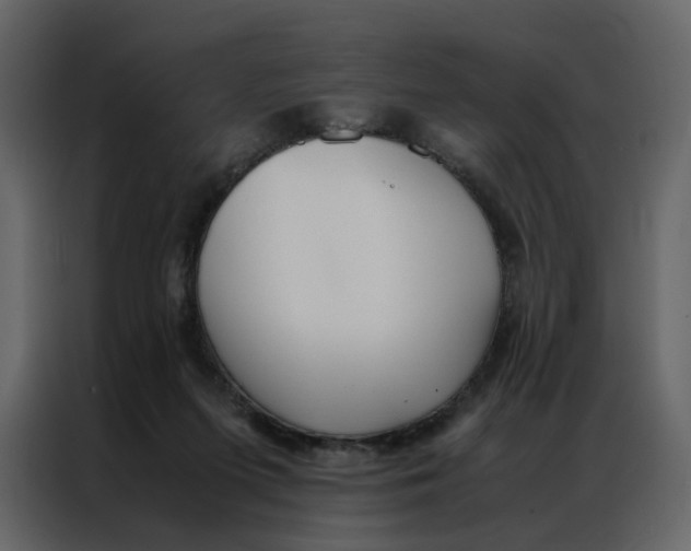 X0000086990215200705071443