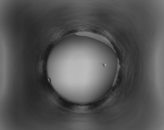 X0000086990217200705071443