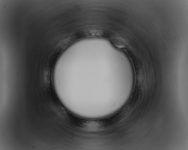 X0000086990218200705071443