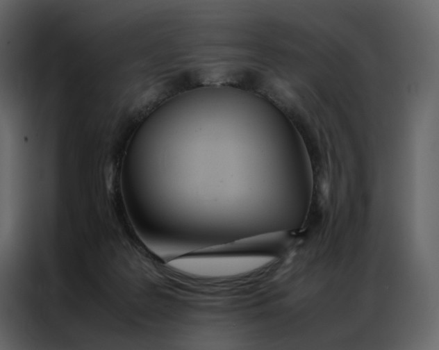 X0000086990219200705071443