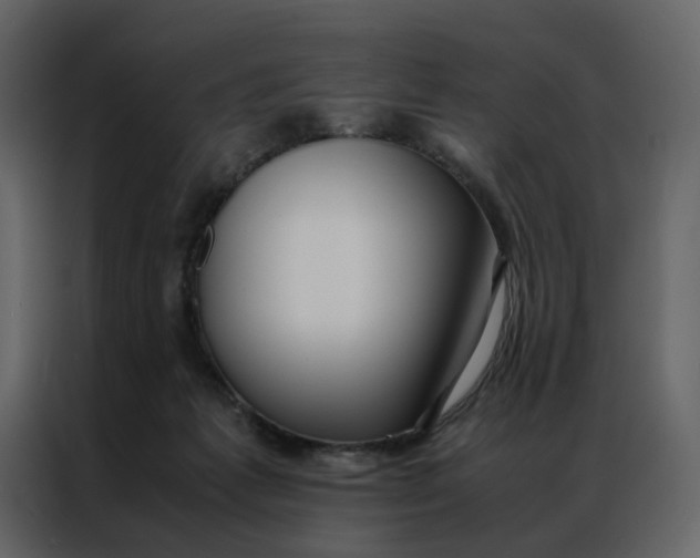 X0000086990221200705071443