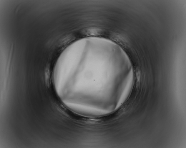 X0000086990222200705071443