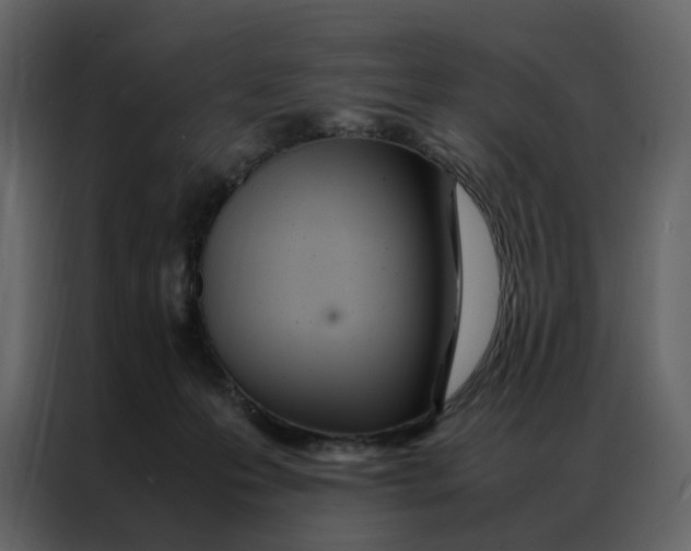 X0000086990223200705071443