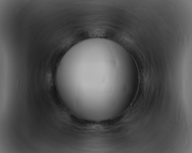 X0000086990224200705071443