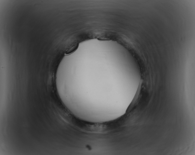 X0000086990225200705071443