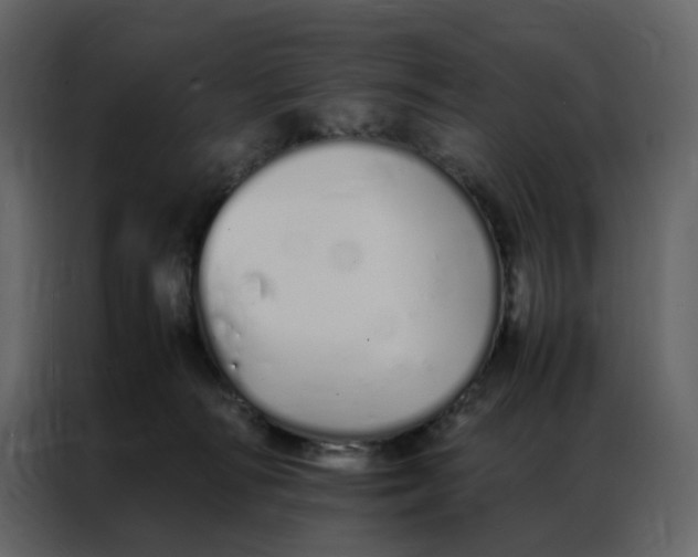 X0000086990226200705071443