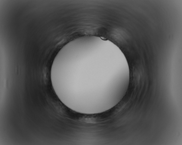 X0000086990228200705071443