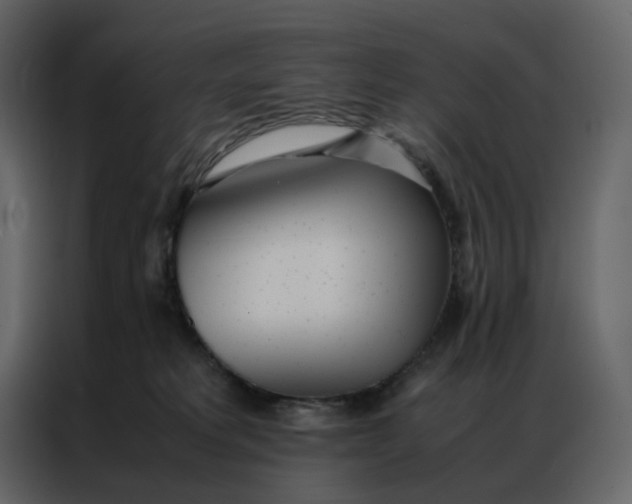 X0000086990229200705071443