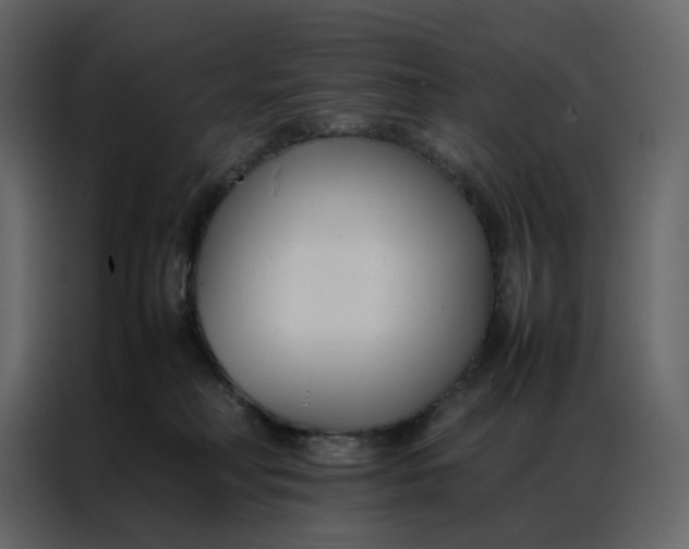 X0000086990230200705071443