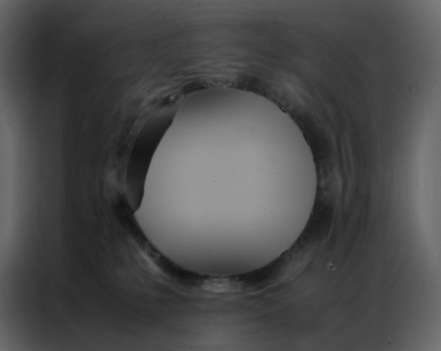 X0000086990231200705071443