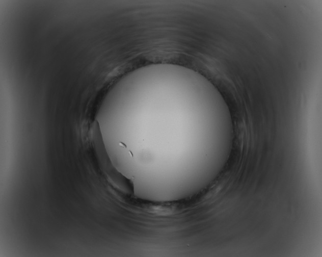 X0000086990232200705071443