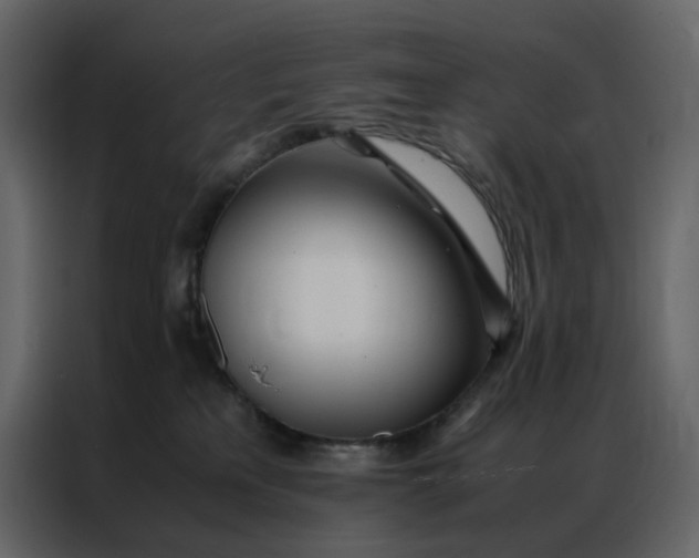 X0000086990233200705071443