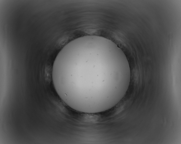 X0000086990234200705071443