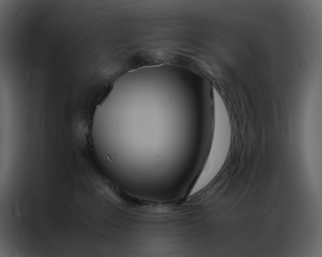 X0000086990235200705071443