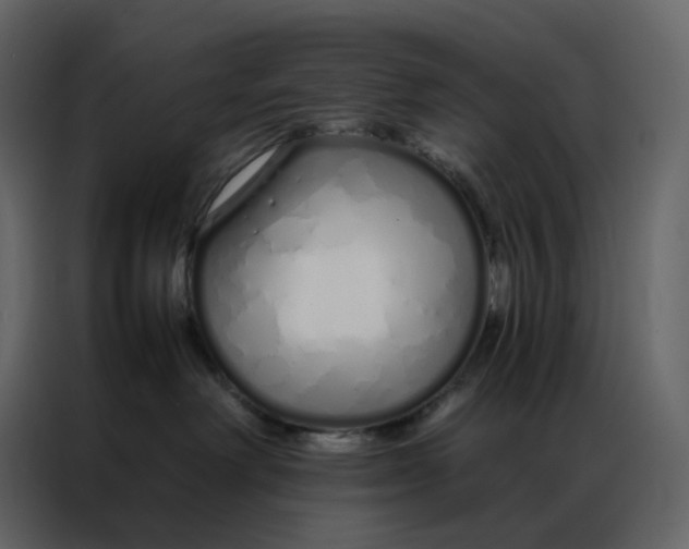 X0000086990238200705071443