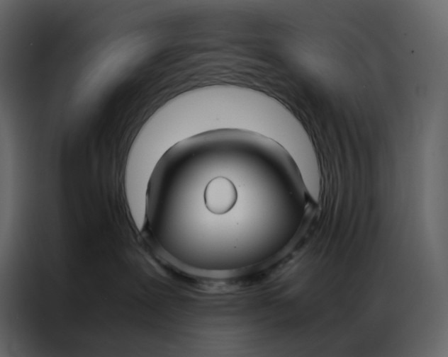 X0000086990239200705071443