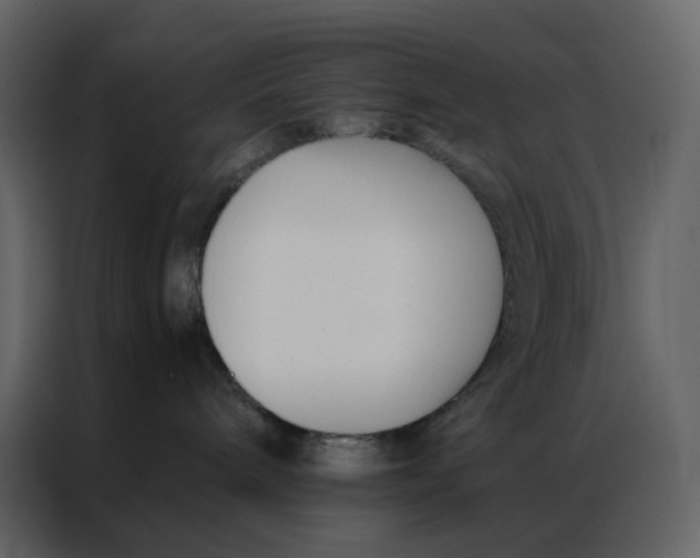 X0000086990240200705071443